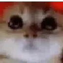causeyoudidntaddit
