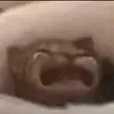 cry