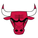 bulls