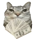 Catrich