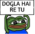 mash_dogla