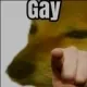 gay