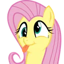 fluttersilly