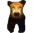 babybear