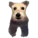 baby_milo