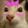 otagcute