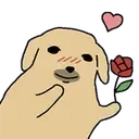 rose