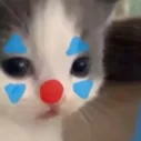 clowncat