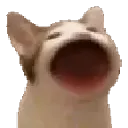 catnom