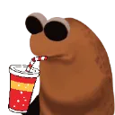 marcus_sip