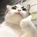 emoji_18