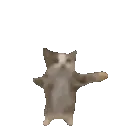 Kitty_jump