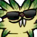 pip_coolpip