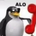 alo alo