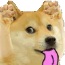 dog_blehhhh dog_blehhhh