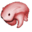 Bear_Nara animated Discord emote from Nara |  | 🌸