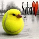 sybaubirb Discord sticker | Italian Mapping's Planet