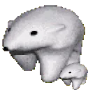 polarbear