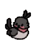 dancing_bird