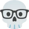 nerdSkull