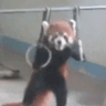 Panda_Nara animated GIF emoji | Nara |  | 🌸