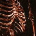 Smoked_Nara animated Discord emote | Nara |  | 🌸