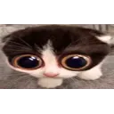 MONKA