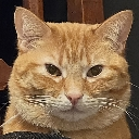 squint custom emote - The Rafters