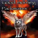 Good_Morning Good_Morning