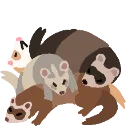 ferretpiletoast