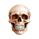 skull1