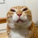doudouhappy