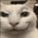 catsmirk