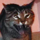 AAAAAAAA AAAAAAAA