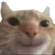 Bilai_shomiti