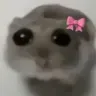 sadhamster