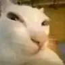 1335747682194555011