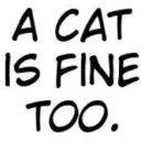 A_Cat_Is_Fine_too