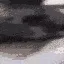 doc_20220726_0258161