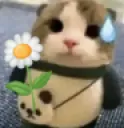Catoopsie Catoopsie