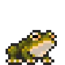 morifrog morifrog