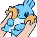 mudkipsquish