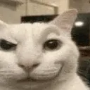 smirkcat