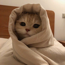 CatCold Discord sticker - TurkixG1 Community