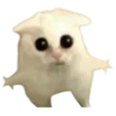 cat_clueless cat_clueless