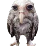 ReallyDude