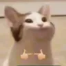 uwu