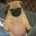 NiKKi7