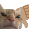 no