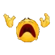 NOOO NOOO